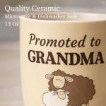 Funny Coffee Mugs for New Grandparents Gift