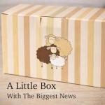 Funny Coffee Mugs for New Grandparents Gift