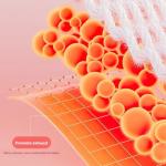 Musical Interactive Plush Dolls for Babies and Toddlers