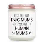 Funny Gifts for Expecting Moms - Lavender Candle