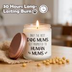 Funny Gifts for Expecting Moms - Lavender Candle