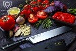 Dalstrong 8.5" Kiritsuke Chef Knife - Gladiator Series