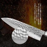 Ultra Sharp 8-Inch Japanese Chef Knife VG-10