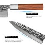 Ultra Sharp 8-Inch Japanese Chef Knife VG-10