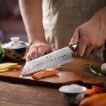 Shangdao 8" Kiritsuke Chef Knife - Damascus Steel