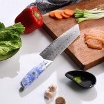 Shangdao 8" Kiritsuke Chef Knife - Damascus Steel