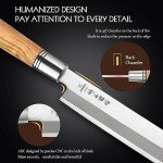 240mm Japanese Sashimi Knife with Olive Wood Handle