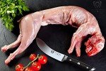 Dalstrong 5.5" Skinning & Boning Knife - Elite Series