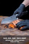 Dalstrong 7-inch Santoku Knife - Gladiator Elite