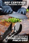 Dalstrong 7-inch Santoku Knife - Gladiator Elite
