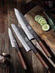 HOSHANHO 3-Piece VG-10 Japanese Chef Knife Set