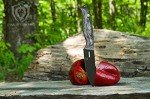 Dalstrong 4" Paring Knife - Delta Wolf Series