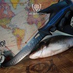 Dalstrong 10" Night Shark Butcher Knife