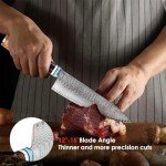 Professional 8-Inch Japanese VG10 Damascus Chef Knife
