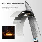 Professional 8-Inch Japanese VG10 Damascus Chef Knife