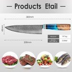 Professional 8-Inch Japanese VG10 Damascus Chef Knife