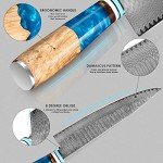 Professional 8-Inch Japanese VG10 Damascus Chef Knife