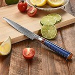 WeKit 6-Inch VG10 Damascus Utility Knife