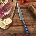 WeKit 6-Inch VG10 Damascus Utility Knife