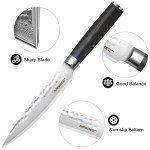 5-Inch Damascus Steel Japanese Gyuto Chef Knife
