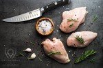 DALSTRONG 6-Inch Fillet Knife - Gladiator Series