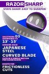 Dalstrong Phantom Series Japanese Butcher Knife - 25.4 cm