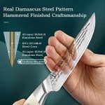 HEZHEN 4-Piece Damascus Steel Steak Knife Set