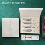 HEZHEN 4-Piece Damascus Steel Steak Knife Set