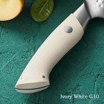 HEZHEN 4-Piece Damascus Steel Steak Knife Set