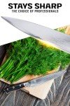 Dalstrong 6-Inch Shogun Series Utility Knife