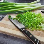 Dalstrong 6-Inch Shogun Series Utility Knife