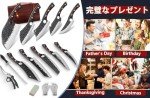 Hand Forged Serbian Chef Knife Set with Bag