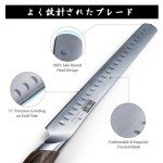 HOSHANHO 12" Japanese AUS-10 Carving Knife