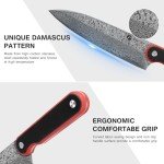 FINTISO 8-Inch Damascus Chef Knife with G10 Handle