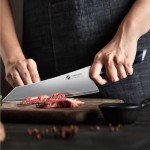FINTISO 8" Ultra Sharp Japanese Chef Knife
