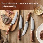 Premium 5.3 Inch Japanese Steak Knife Set of 4