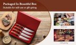 Premium 5.3 Inch Japanese Steak Knife Set of 4