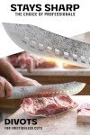 DALSTRONG Bull Nose Butcher Knife - 10 inch