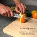 Shun Classic Utility Knife: Precision Japanese Craftsmanship