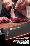 Dalstrong 24 cm Chef Knife - Spartan Ghost Series