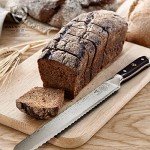 DALSTRONG Shogun Serrated Bread Knife - 10.25