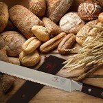 DALSTRONG Shogun Serrated Bread Knife - 10.25