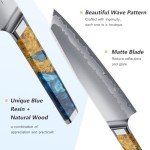FINTISO 8-Inch Japanese Chef Knife with Wooden Handle