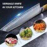 FINTISO 8-Inch Japanese Chef Knife with Wooden Handle