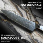 8-Inch VG-10 Japanese Chef Knife with Gift Box