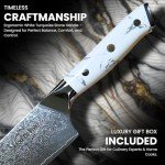 8-Inch VG-10 Japanese Chef Knife with Gift Box