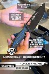 Night Shark 8" Chef Knife - High Carbon Steel