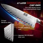 HOSHANHO 8-Inch Damascus Chef Knife, Ultra Sharp
