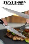 Shogun Series Elite 4-Piece Steak Knives Set