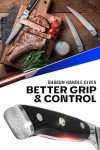 Shogun Series Elite 4-Piece Steak Knives Set